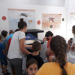 Udruga Leptirići posjetila Prirodoslovni muzej Metković