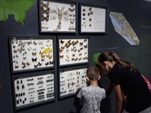 Udruga Leptirići posjetila Prirodoslovni muzej Metković